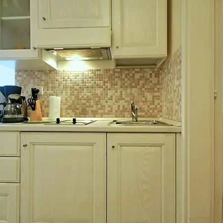 公寓 Angelo D'oro Trevisol 罗维尼